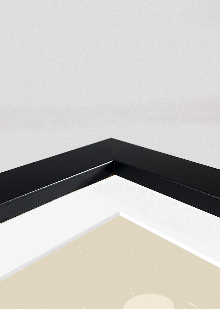 Harmonie květinové geometrie