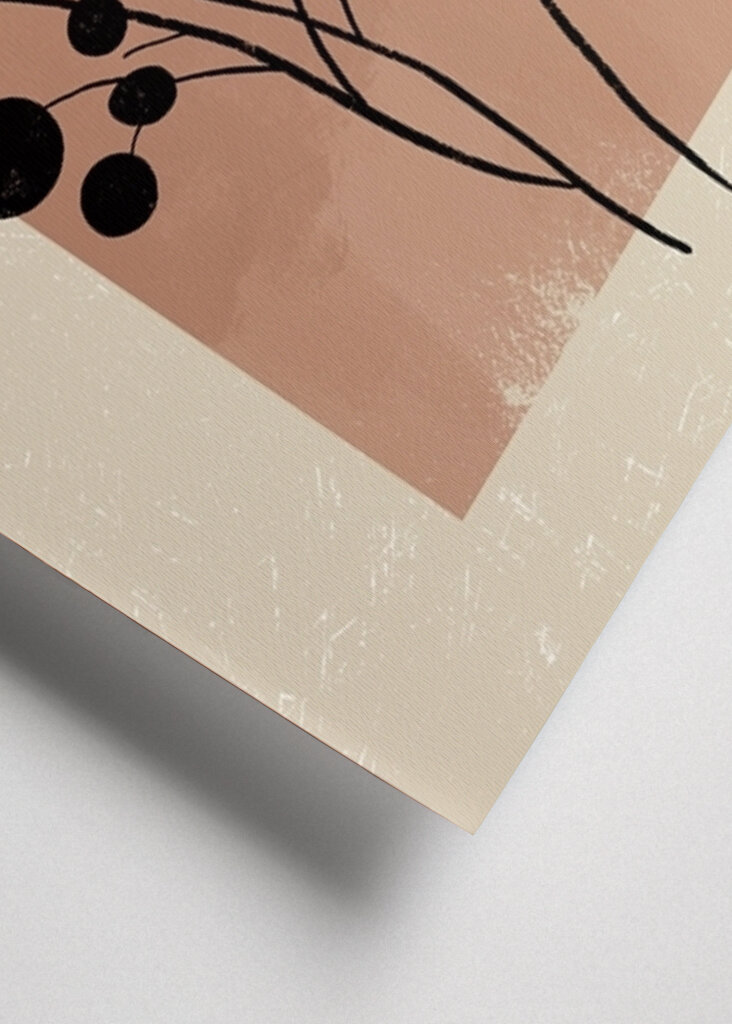 Harmonie květinové geometrie