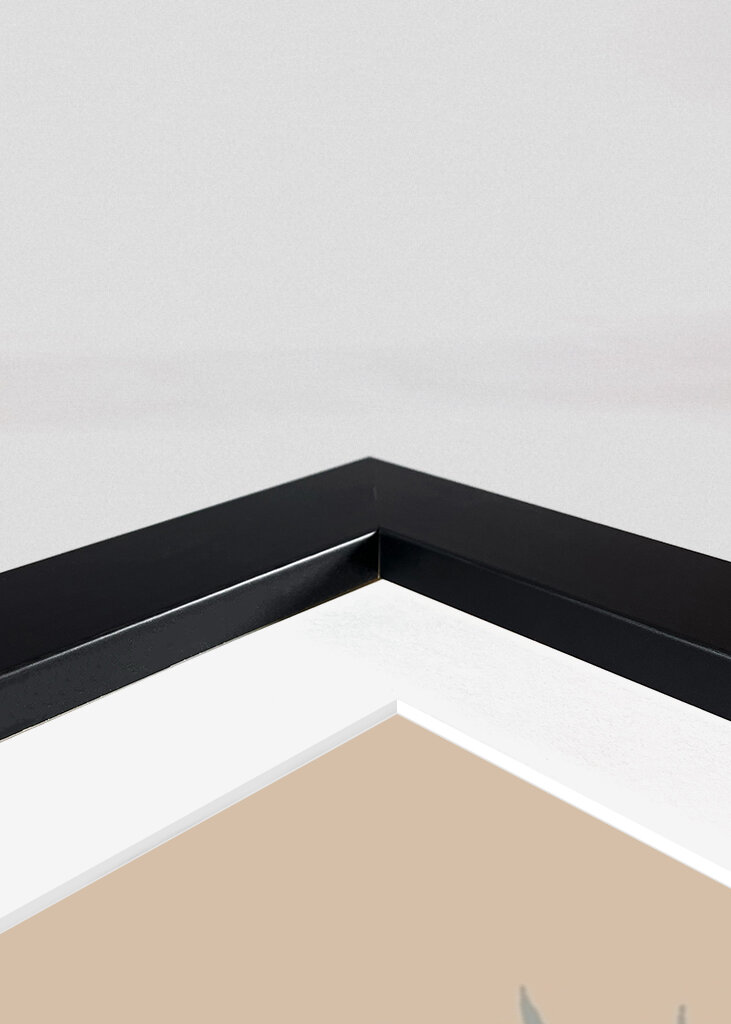 Cesto e Vaso Harmony