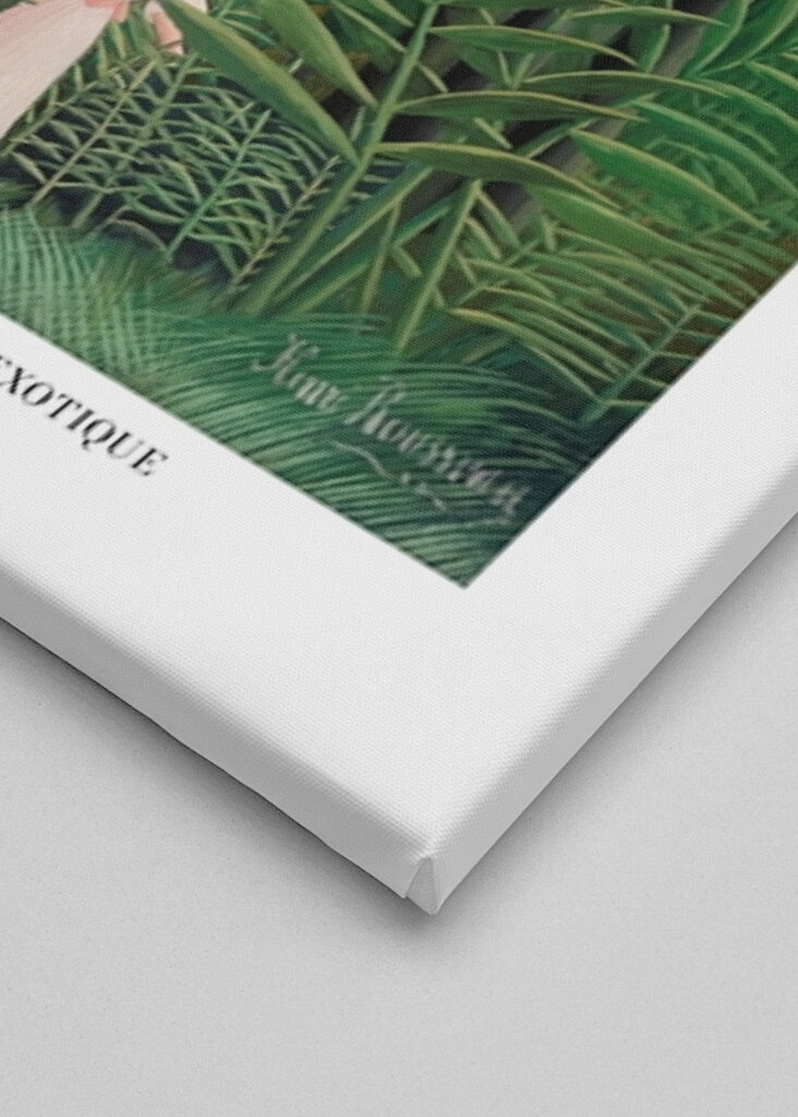 Procházka exotickým lesem