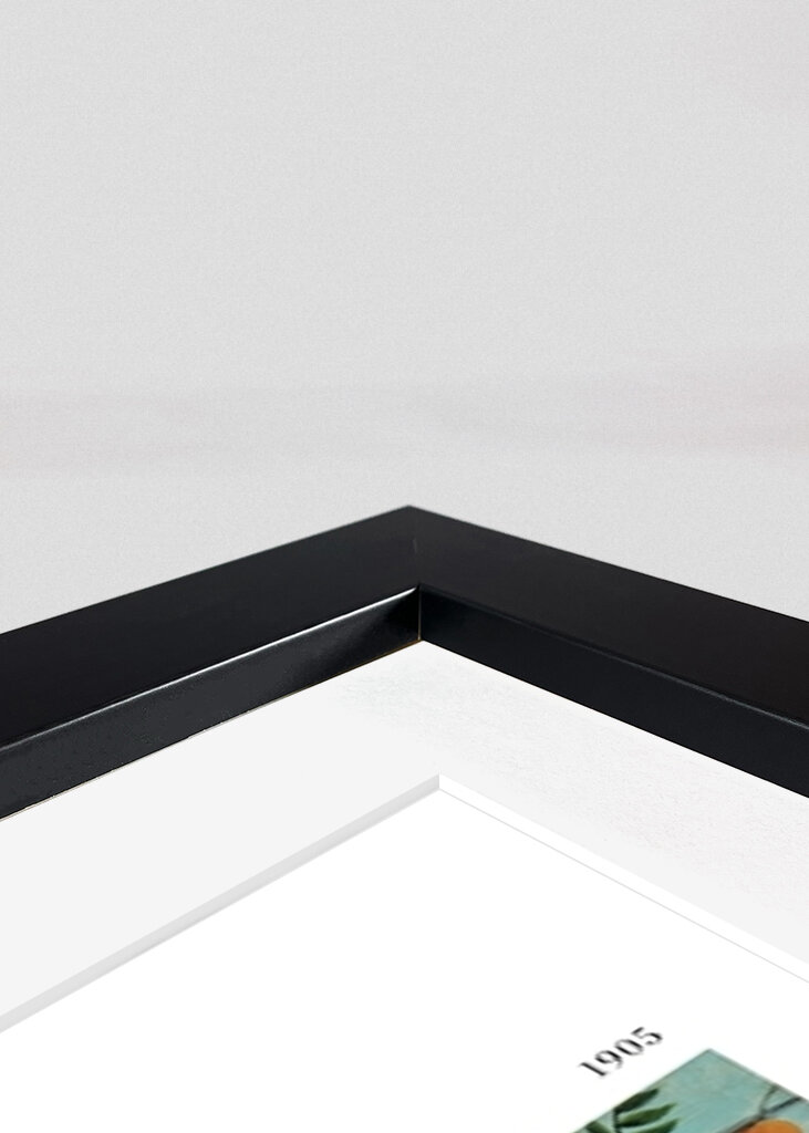 Procházka exotickým lesem