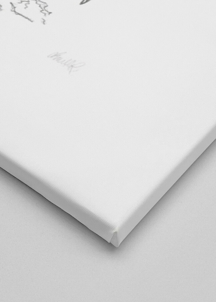 Půvabný květ aloe vera