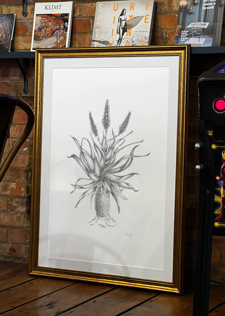 Půvabný květ aloe vera