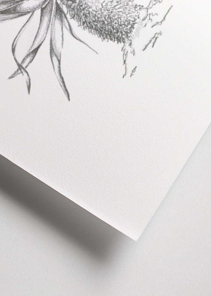 Půvabný květ aloe vera