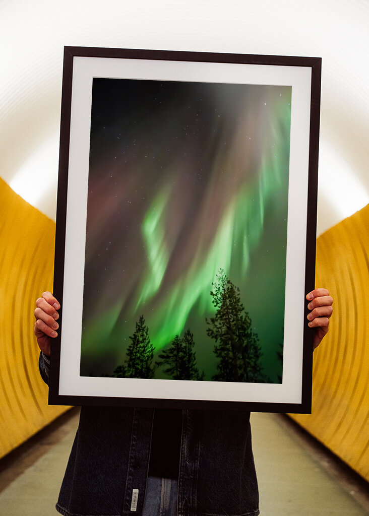 Autumn Northern Lights