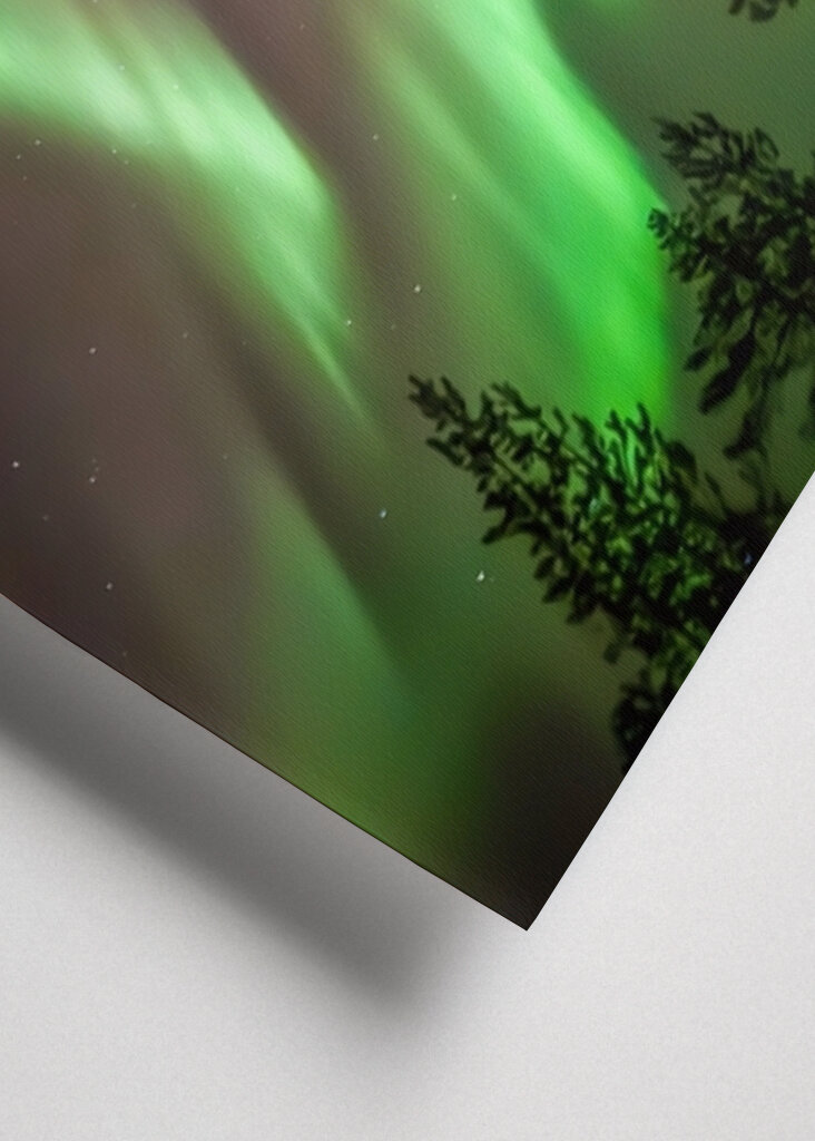 Autumn Northern Lights