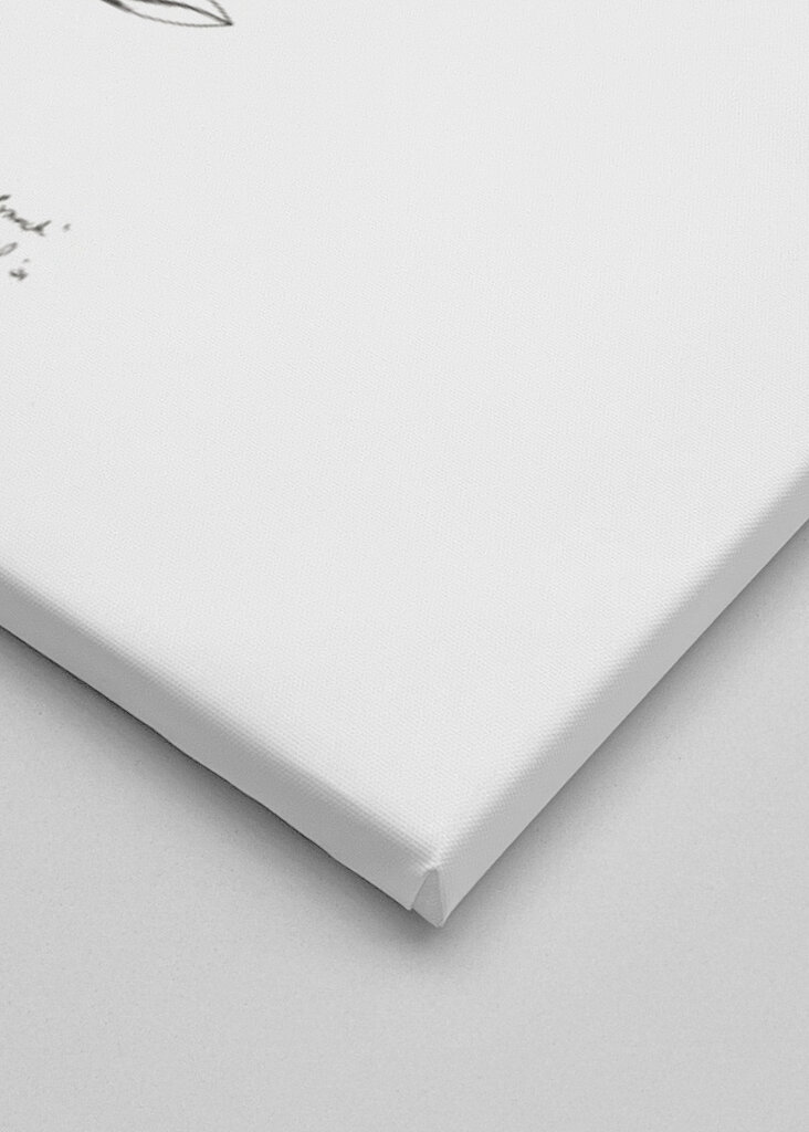 Delicate Olive Sketch