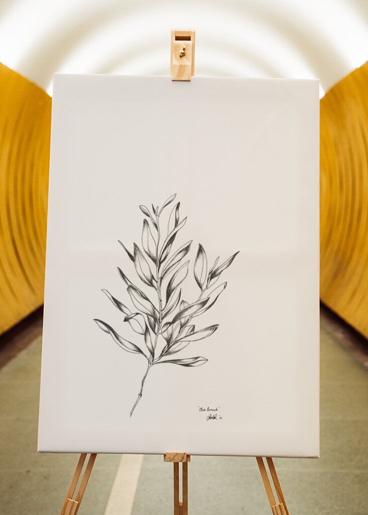 Delicate Olive Sketch