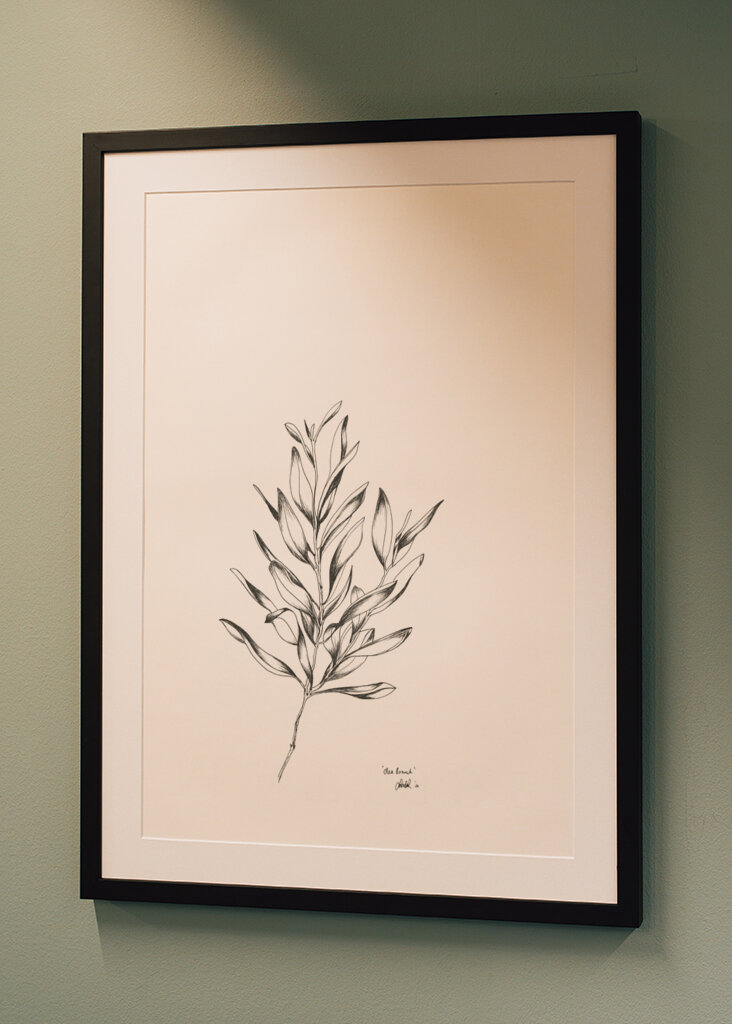 Delicate Olive Sketch