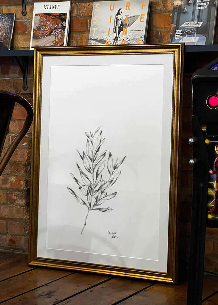 Delicate Olive Sketch