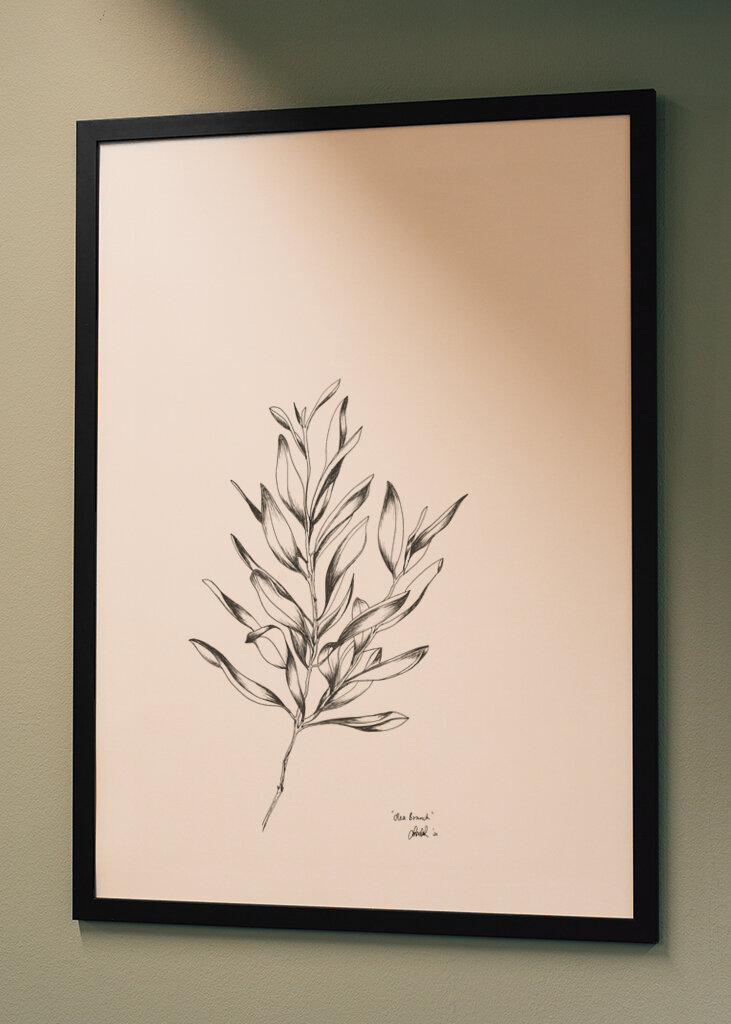 Delicate Olive Sketch