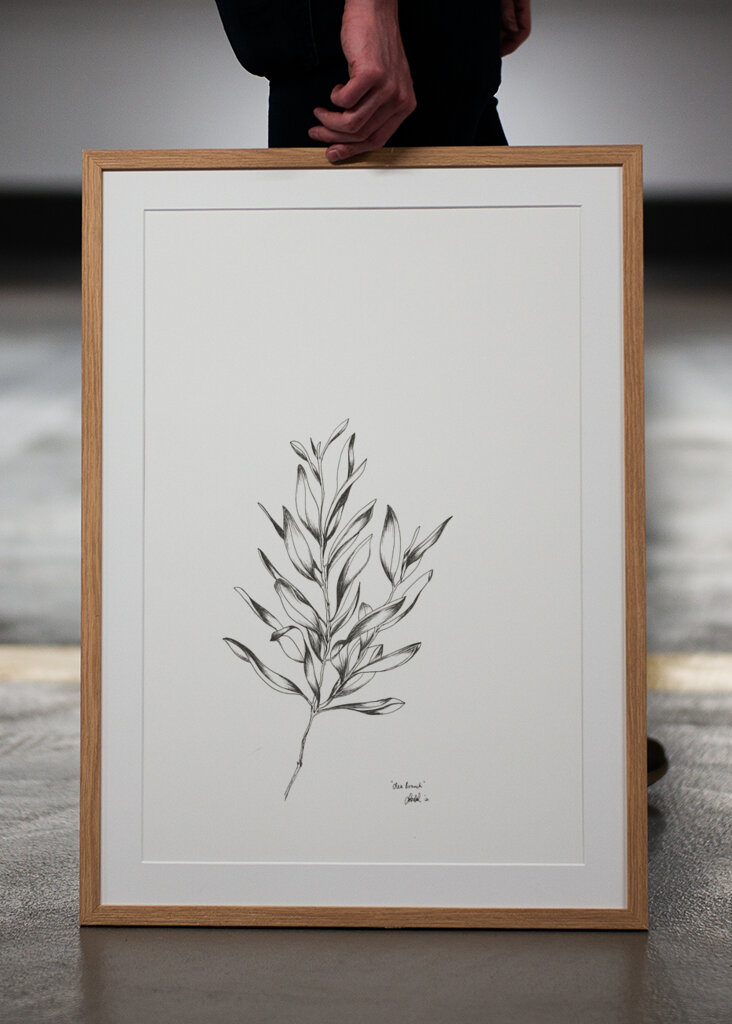 Delicate Olive Sketch