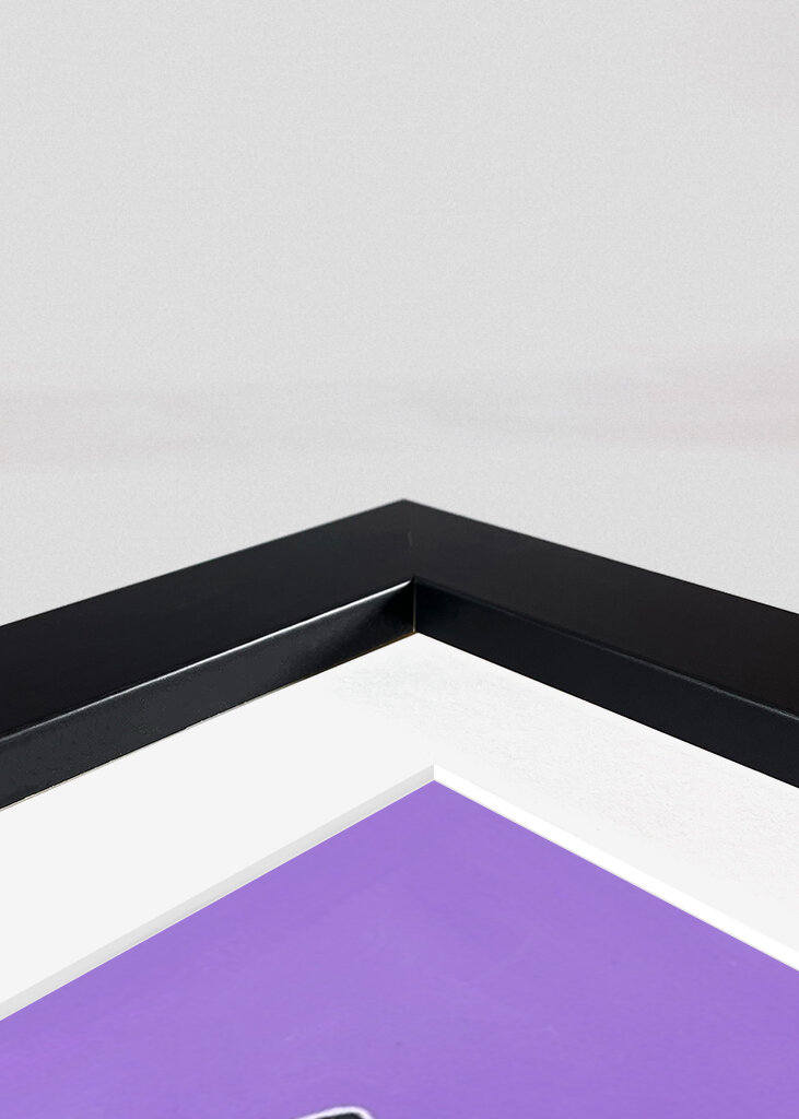 Geometrický portrét