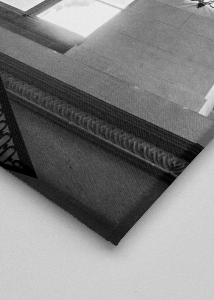 Luminescent Elegance