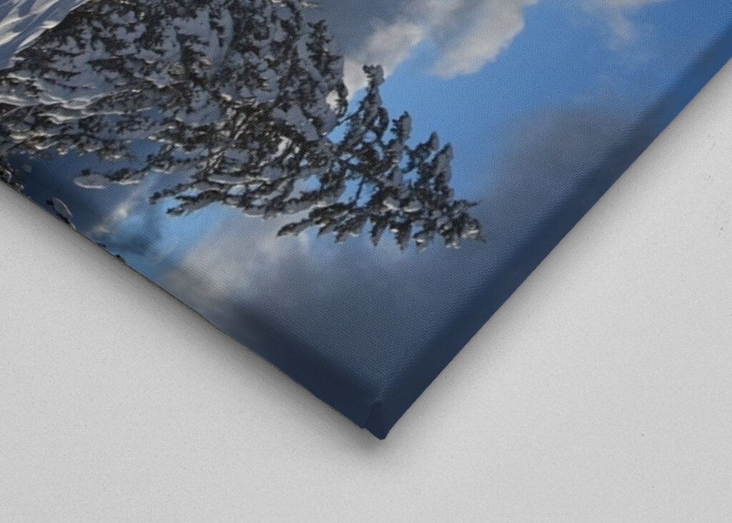 Winter reflection on the lake 