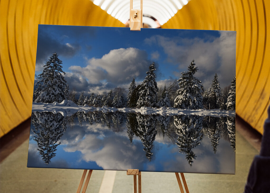 Winter reflection on the lake 
