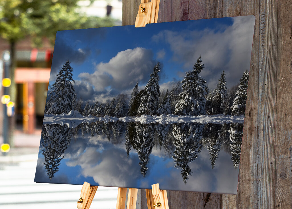 Winter reflection on the lake 