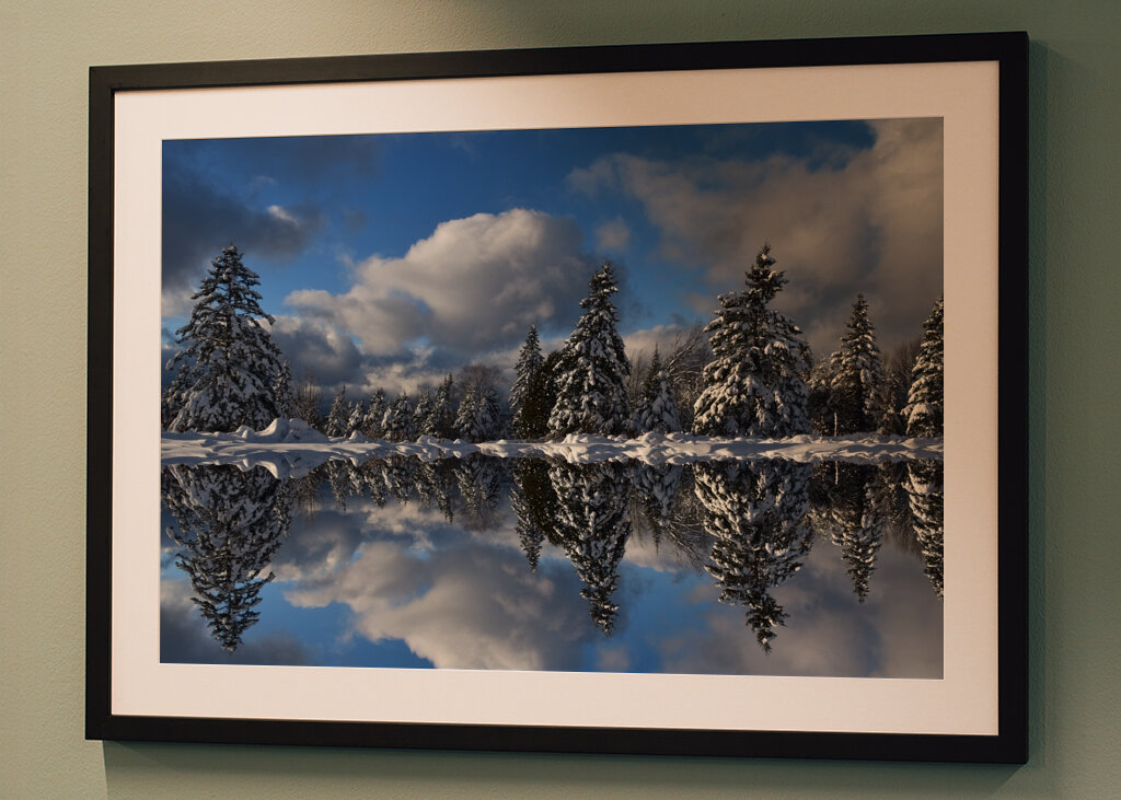 Winter reflection on the lake 