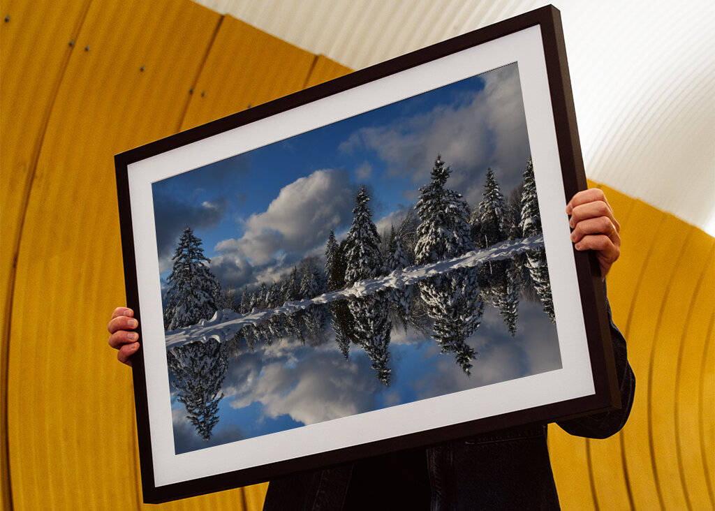 Winter reflection on the lake 