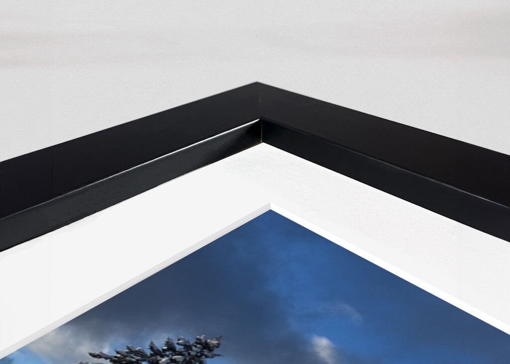 Winter reflection on the lake 