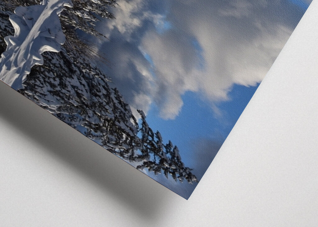 Winter reflection on the lake 