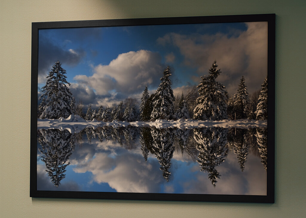 Winter reflection on the lake 