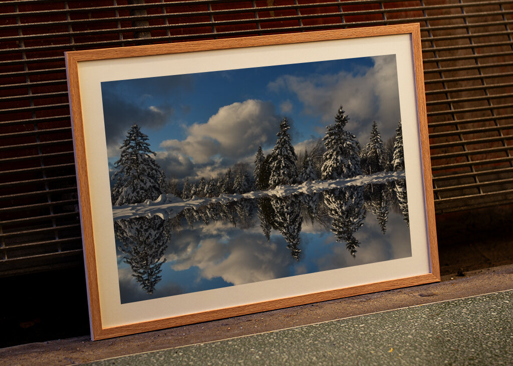 Winter reflection on the lake 
