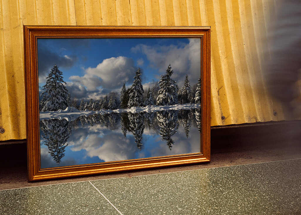 Winter reflection on the lake 