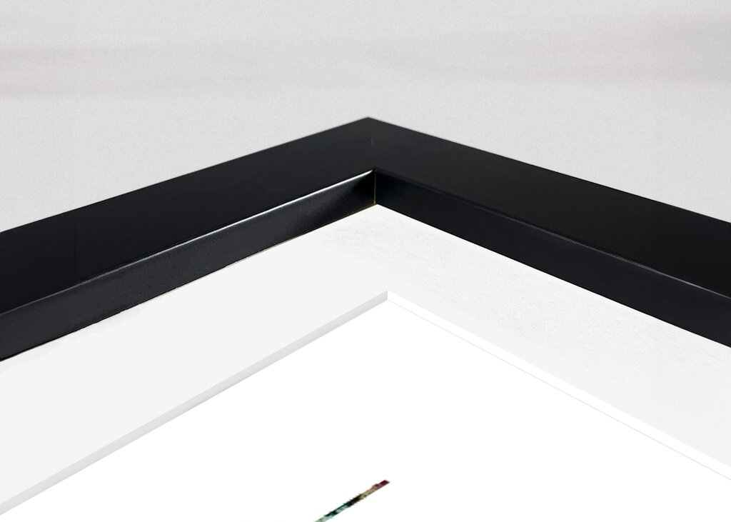 Vibrant Augsburg Skyline