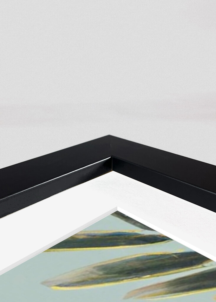 Gelassenheit im Dschungel