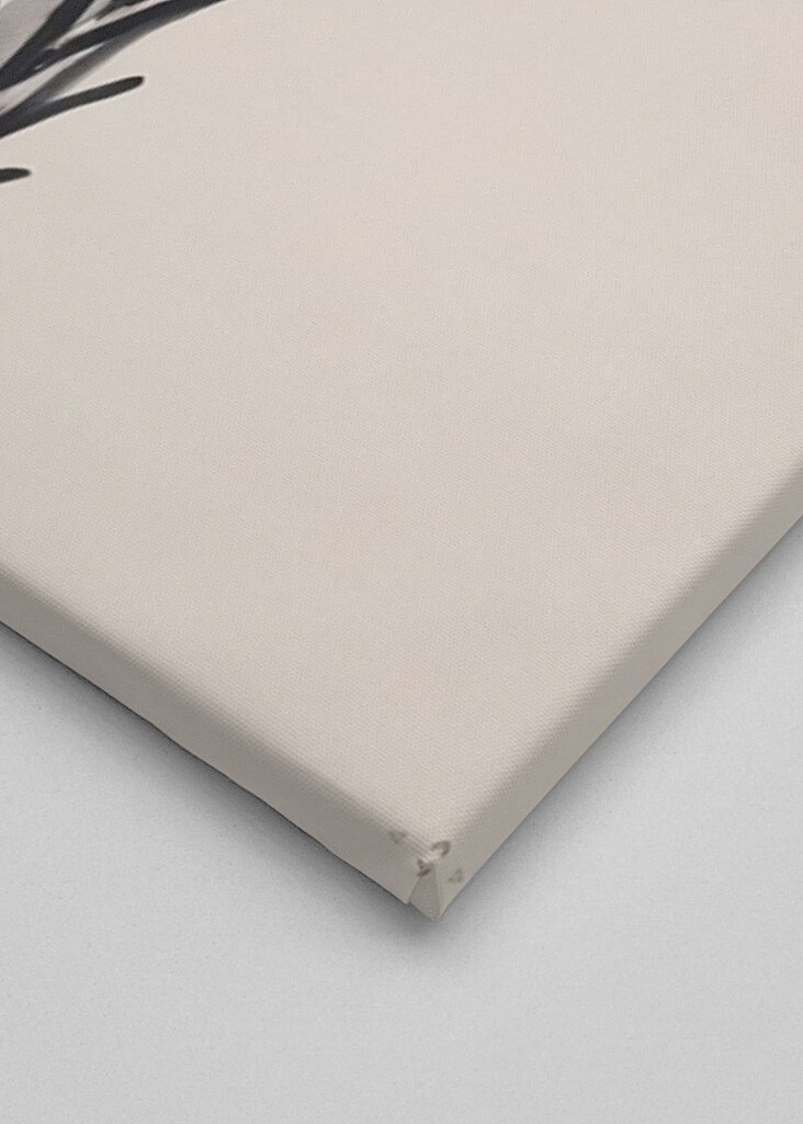 Palmblatt-Silhouette