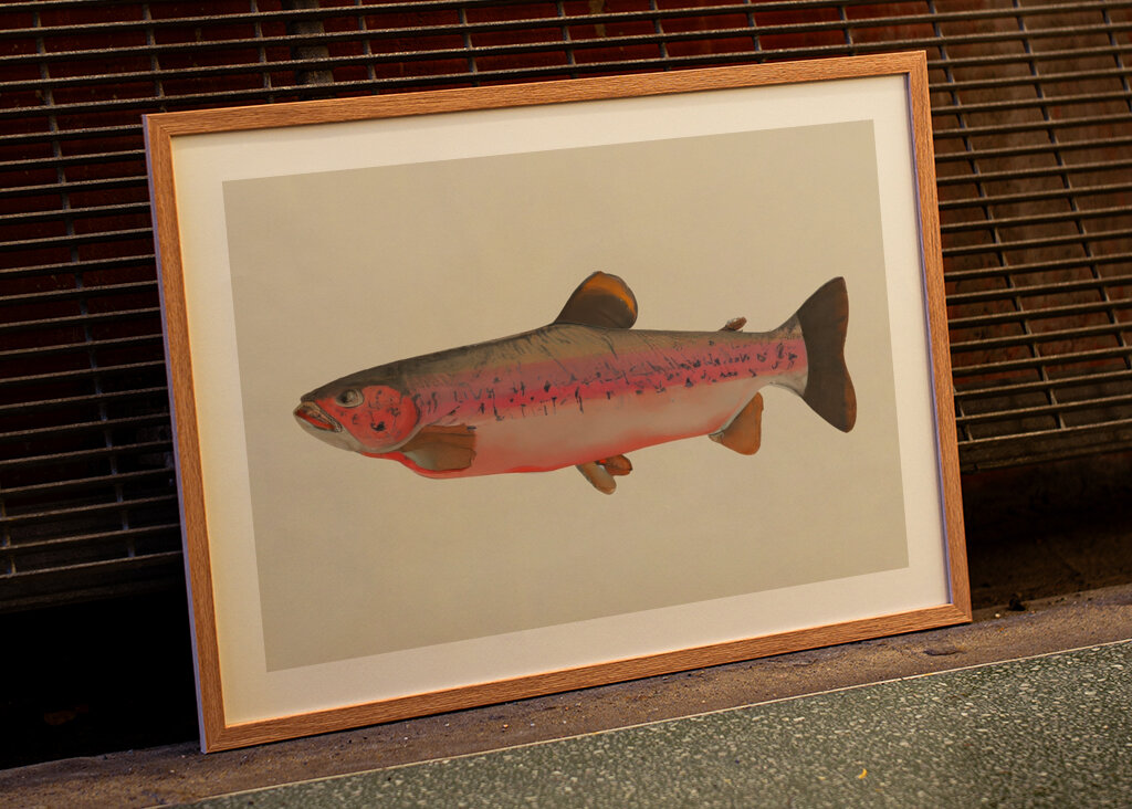 Regenbogenforelle Gelassenheit