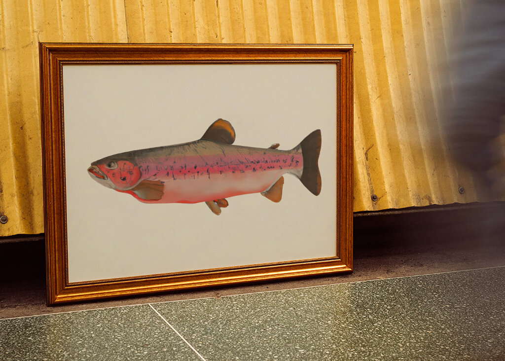 Regenbogenforelle Gelassenheit