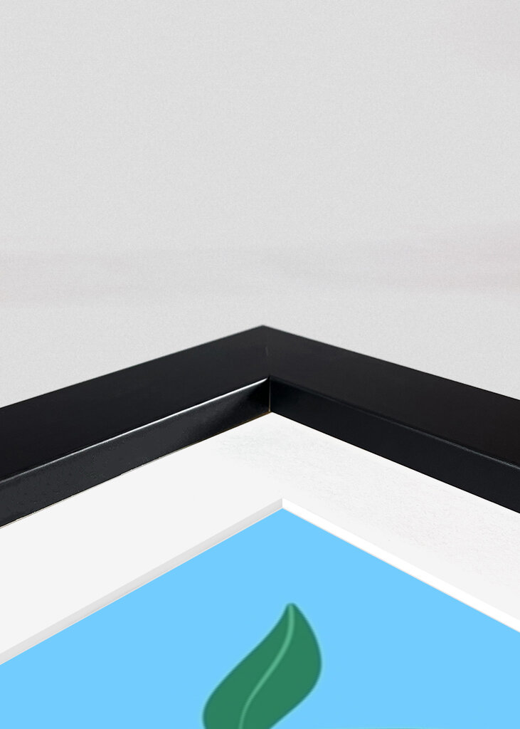 Vibrant Fruit Medley