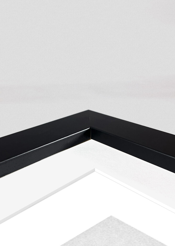 Serratula Nudicaulis	