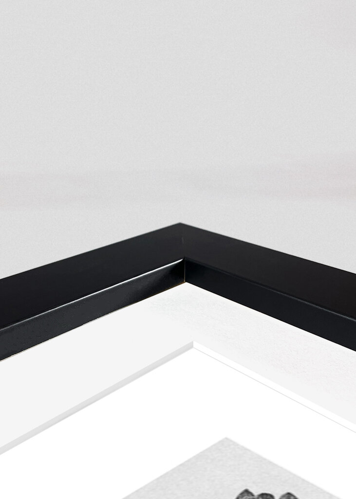 Chrysanthemum parthenium	