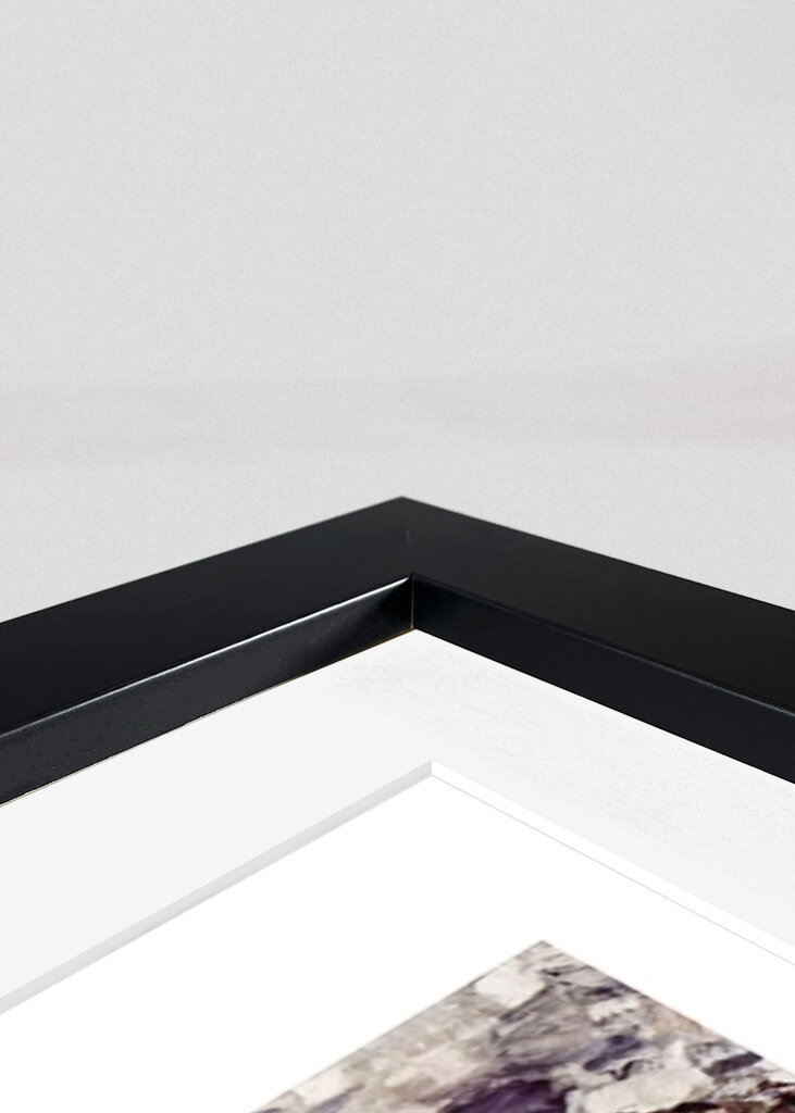 Der Apfelbaum (1916) Poster	