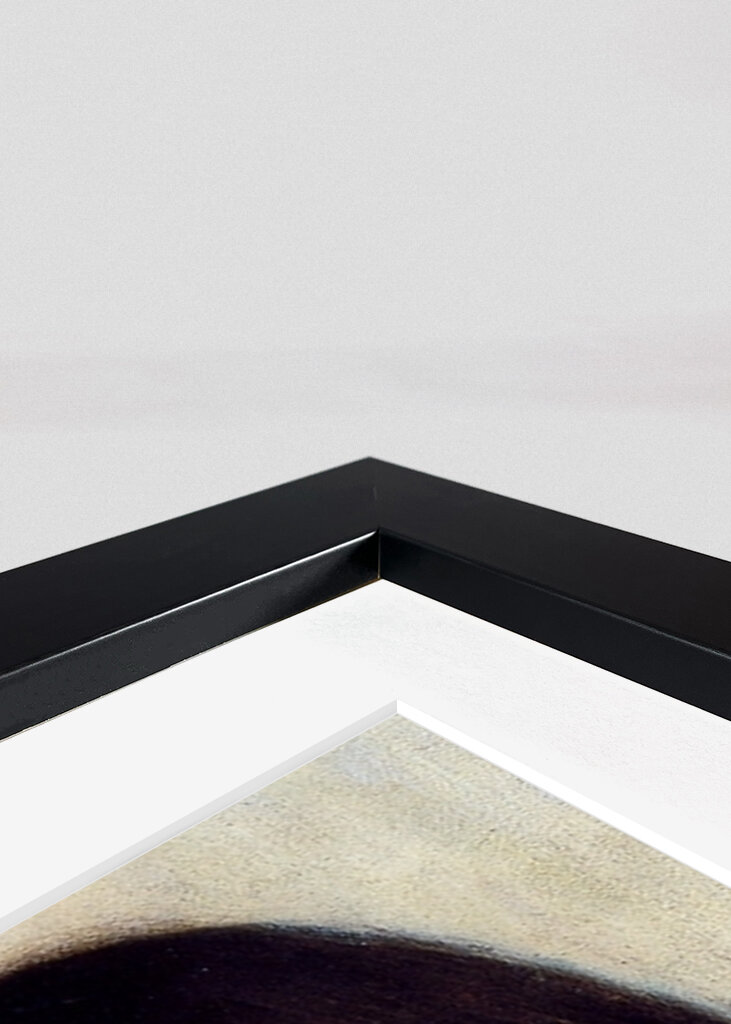 Portrait of Helene Klimt(1898)