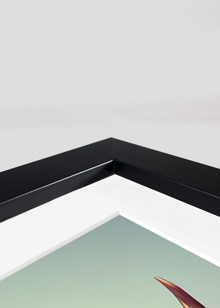 Cow portrait with flowers