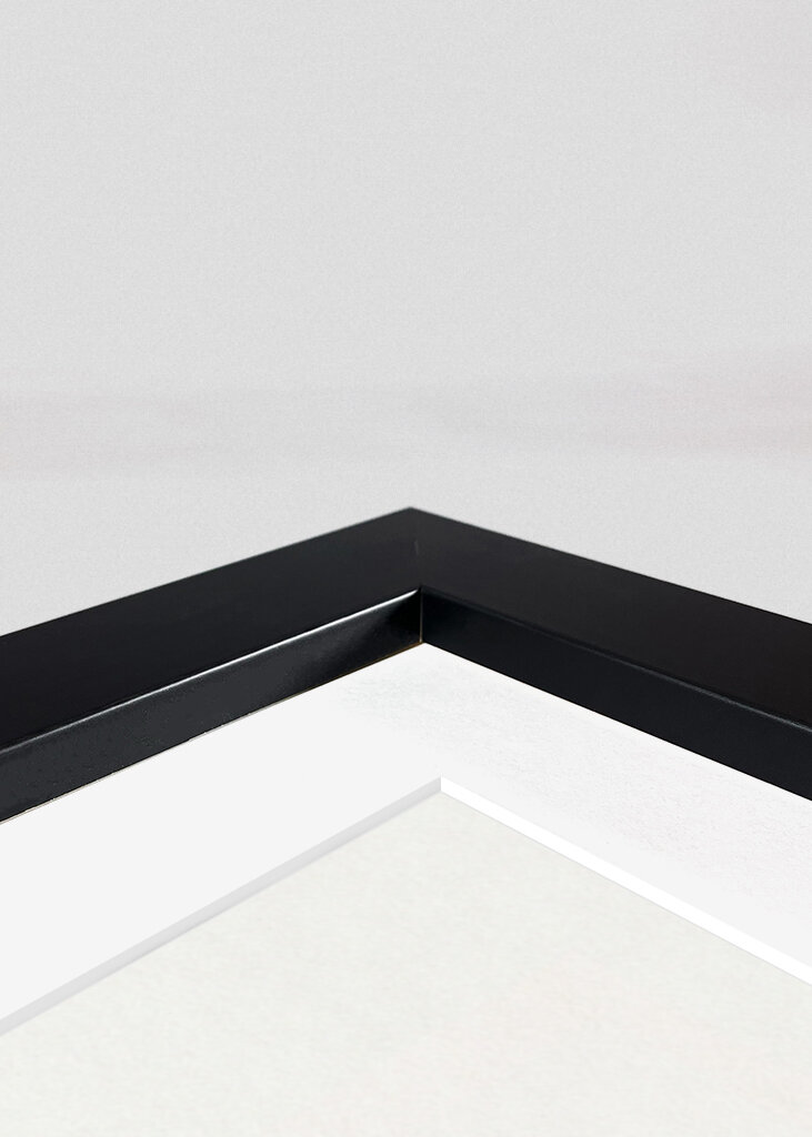 Eurasischer Zaunkönig	