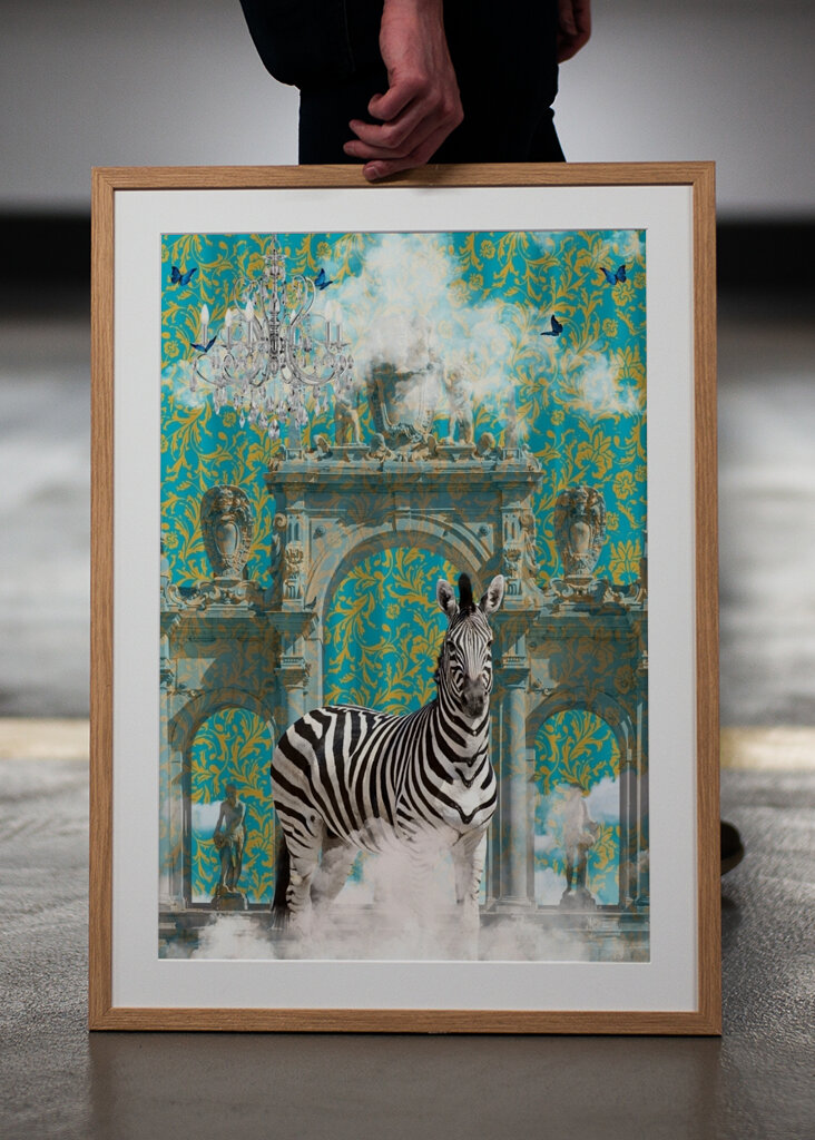 Regal Zebra Dreamscape