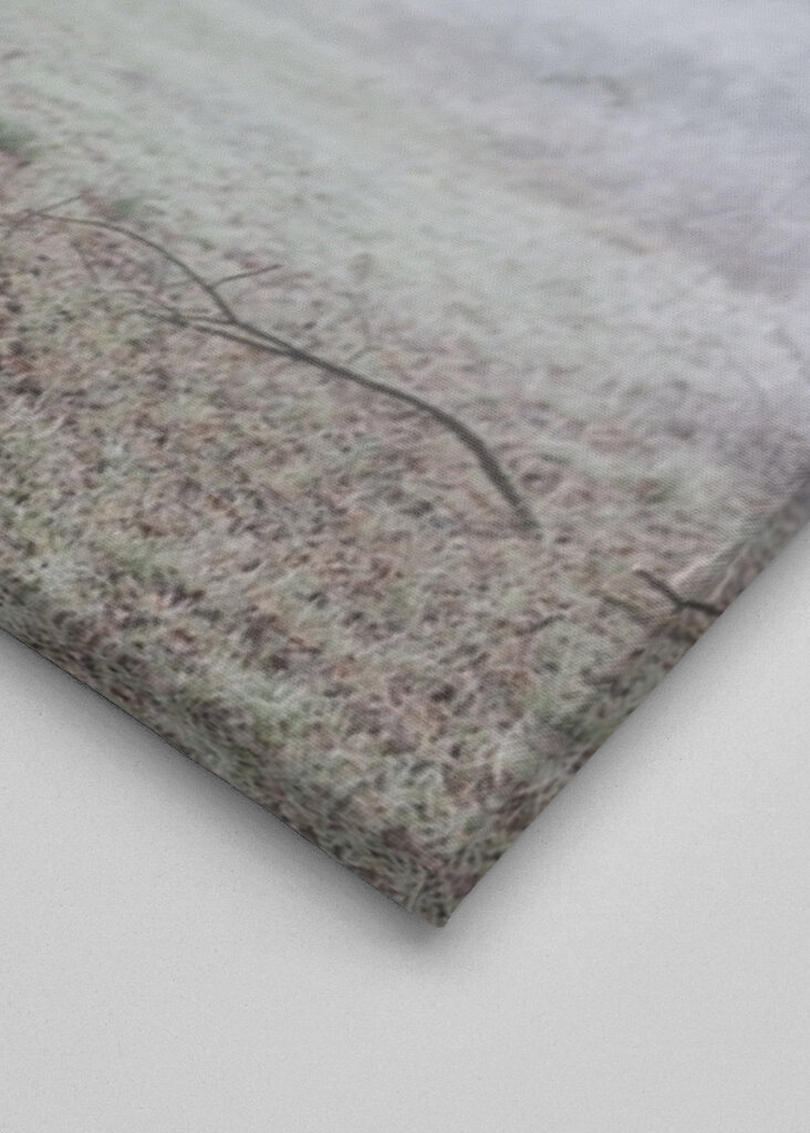 Foggy Winter Morning 3