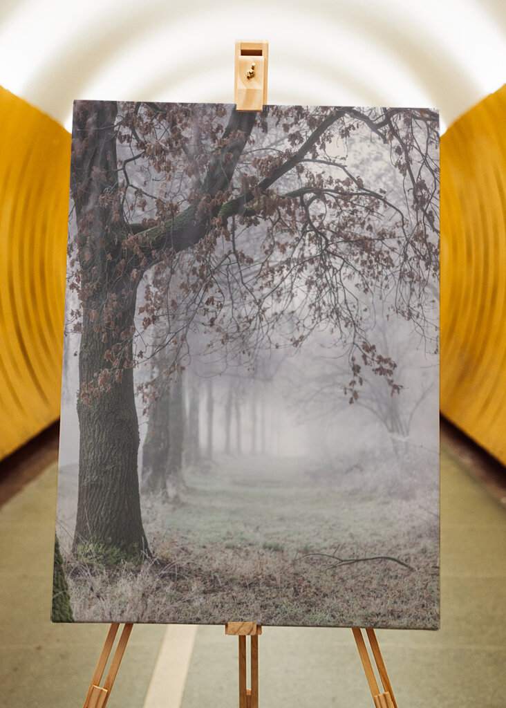 Foggy Winter Morning 3