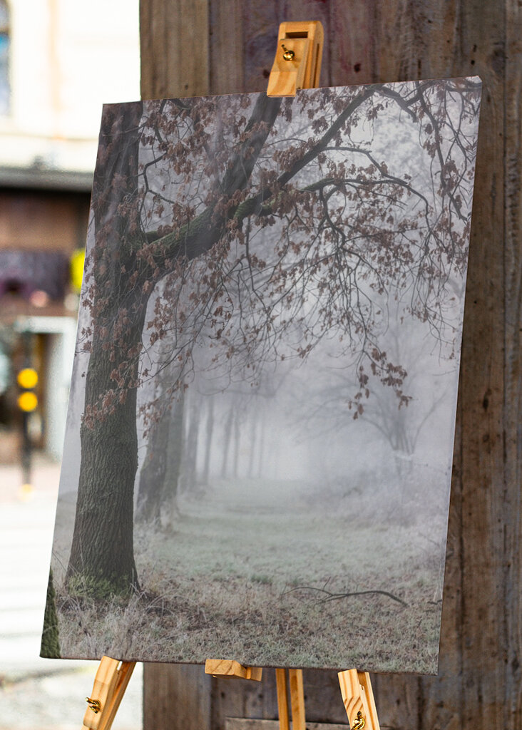 Foggy Winter Morning 3