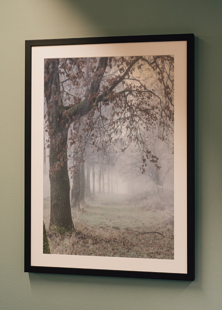 Foggy Winter Morning 3