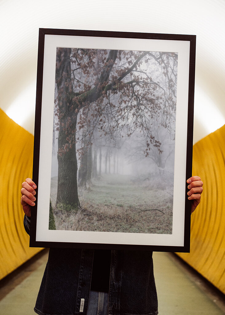 Foggy Winter Morning 3