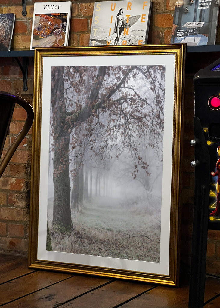 Foggy Winter Morning 3