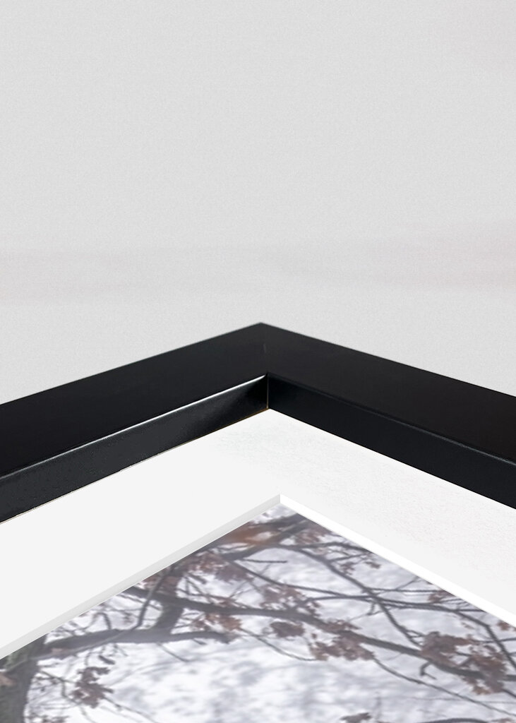 Foggy Winter Morning 3