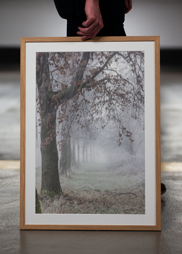 Foggy Winter Morning 3