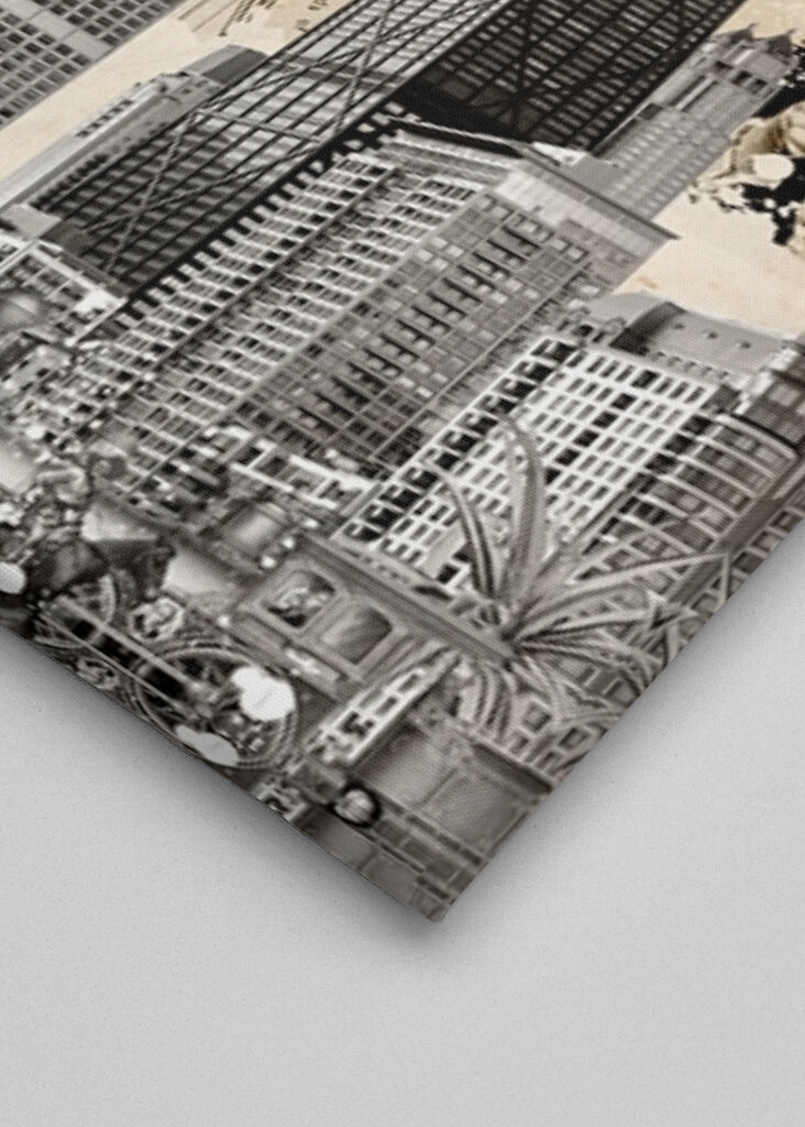 Chicago's Urban Tapestry